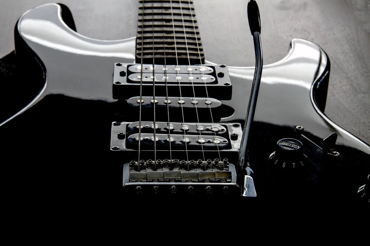 Elektro gitar yakın çekim - teller ve manyetikler detayı
