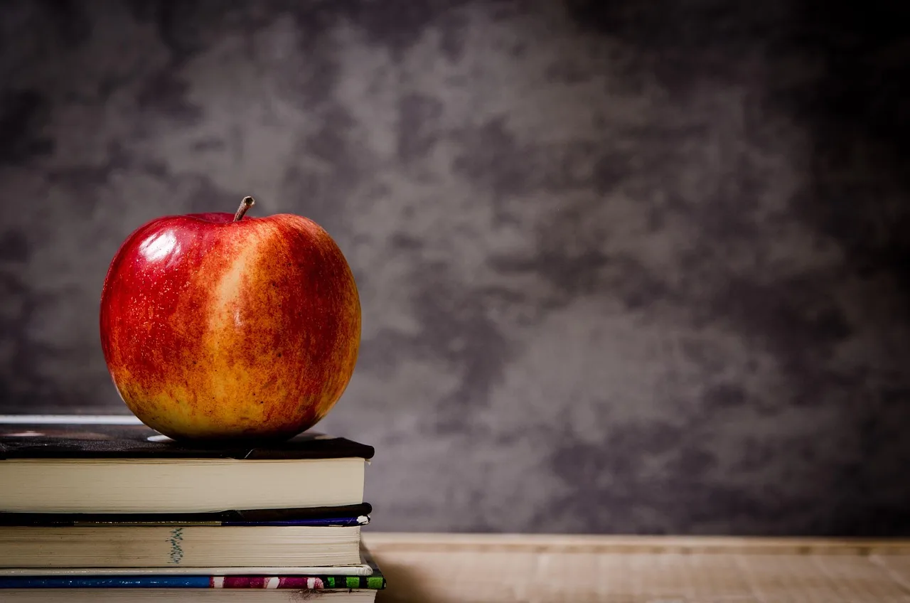 Elma ve kitap yığını sınıf ortamı