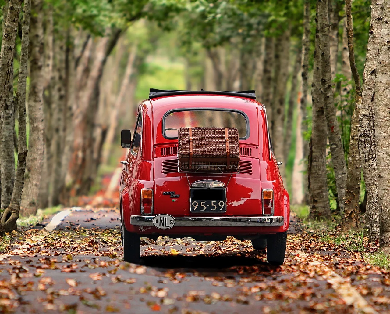 Fiat 500 klasik otomobil - ağaçlar arasında yol