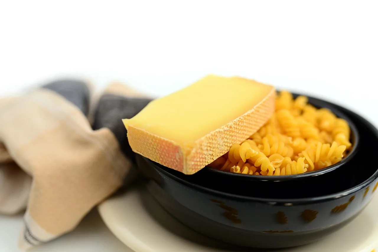 Fusilli makarna peynirli kase - besleyici yemek