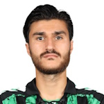 C. Çelik