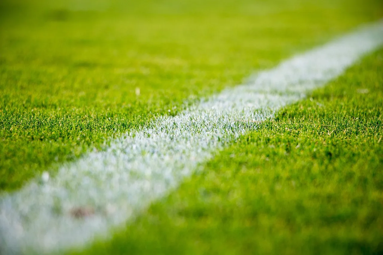 Futbol sahası çim üzerinde yeşil oyun alanı