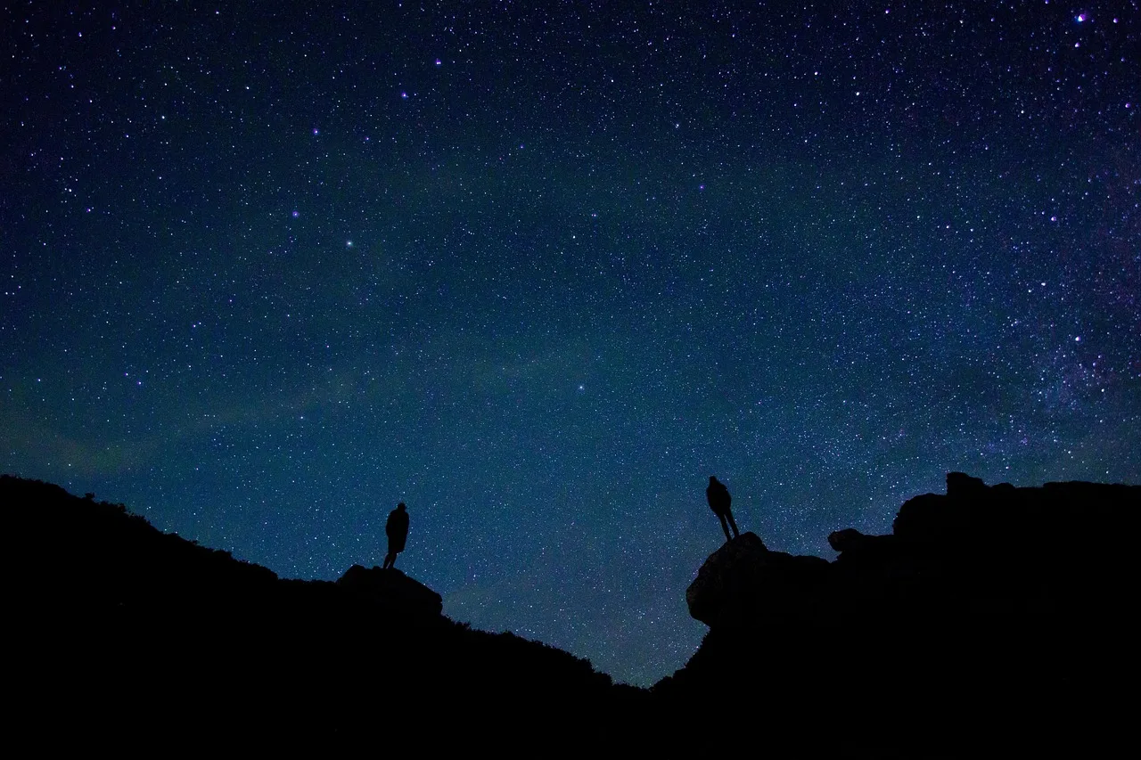 Gece gökyüzü siluetli manzara - yıldızlı sahne