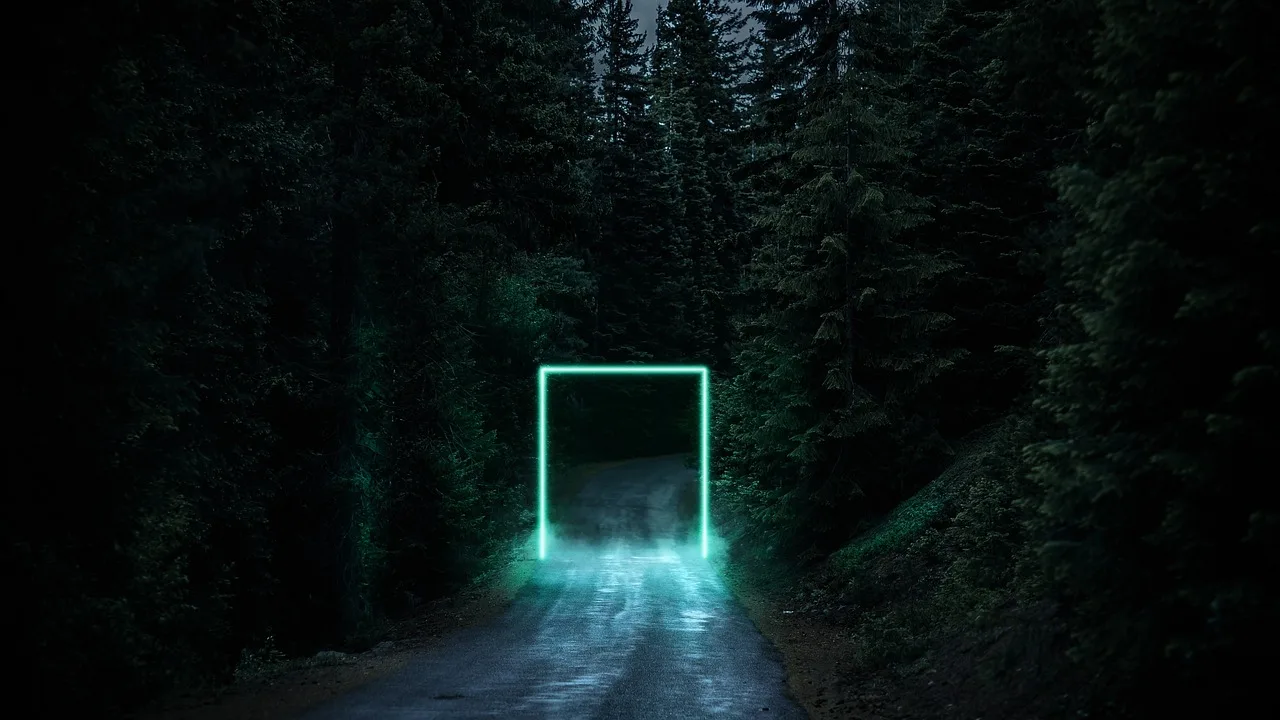 Gece orman yolunda neon ışık - gizemli sahne