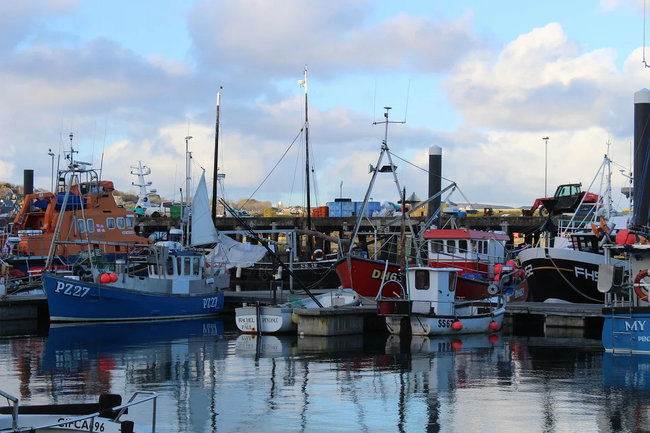 Geleneksel balıkçı tekneleri ve yelkenliler - Cornwall limanı