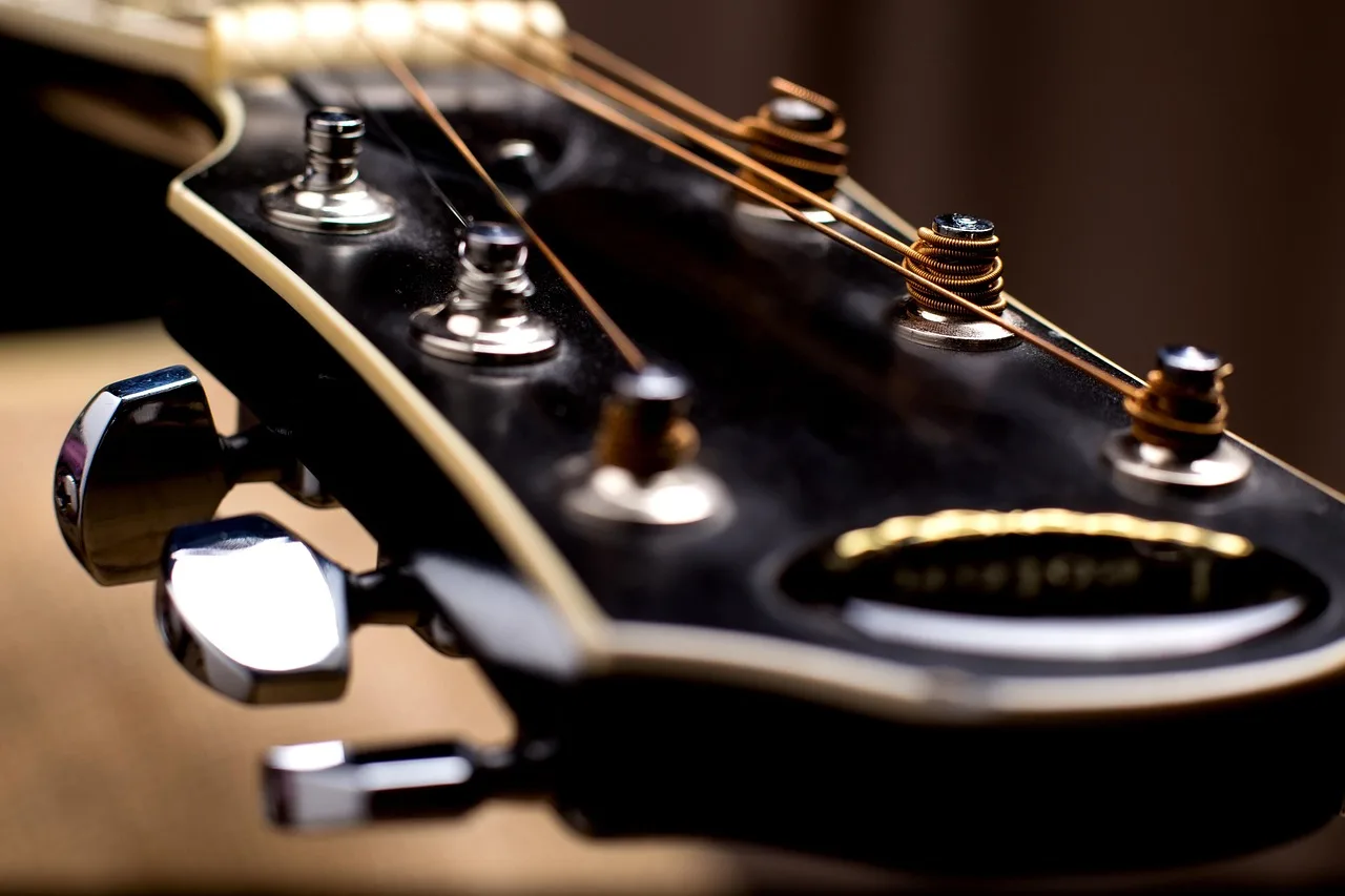 Gitar boynuzlu vulture temalı büyük bulanık fotoğraf