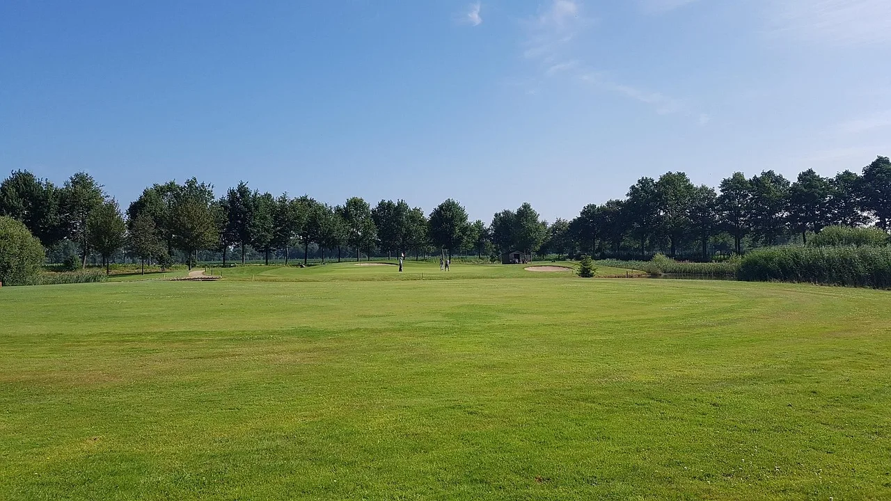Golf sahası yeşil çim üzerinde - doğa sporları