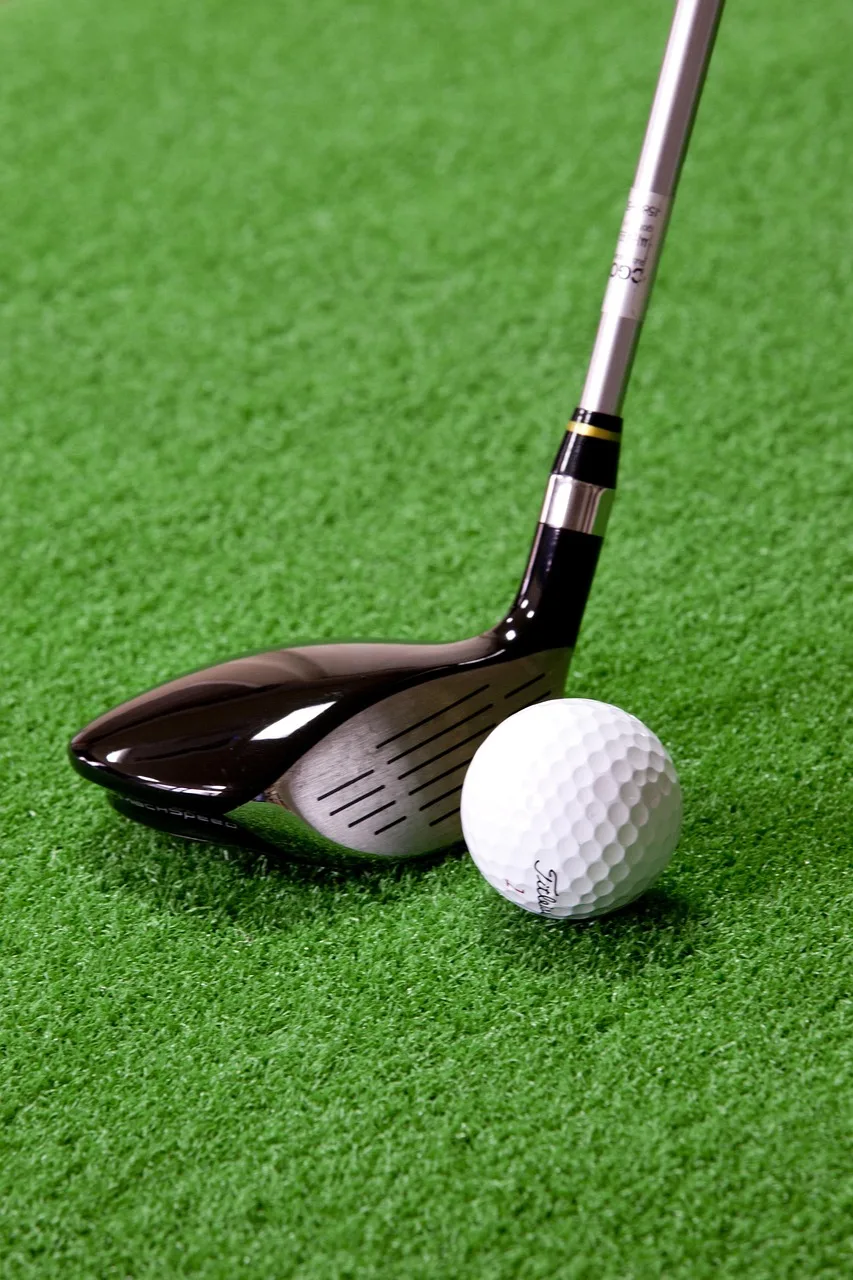 Golf sahasında top ve çubuk - açık hava sporu