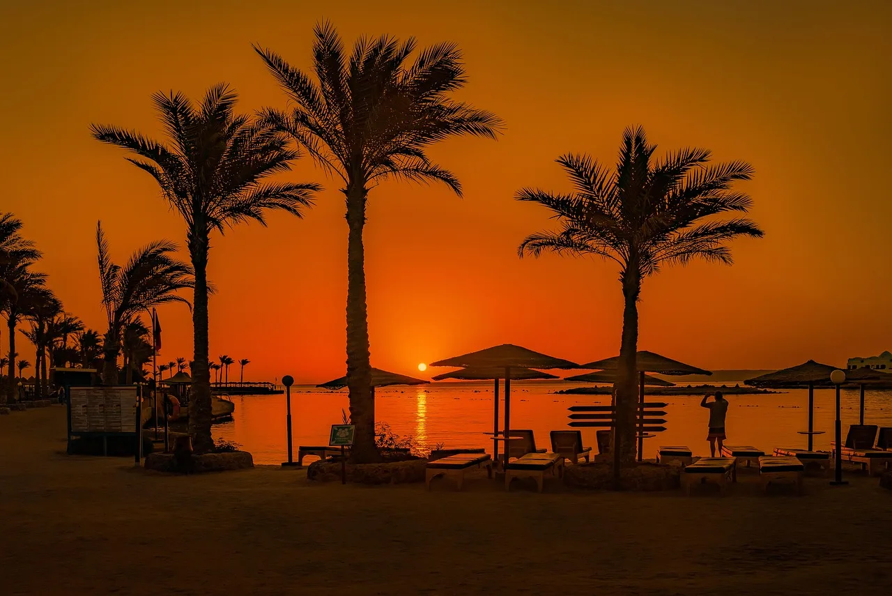 Gün batımı palmiyelerle süslü sahil - Hurghada