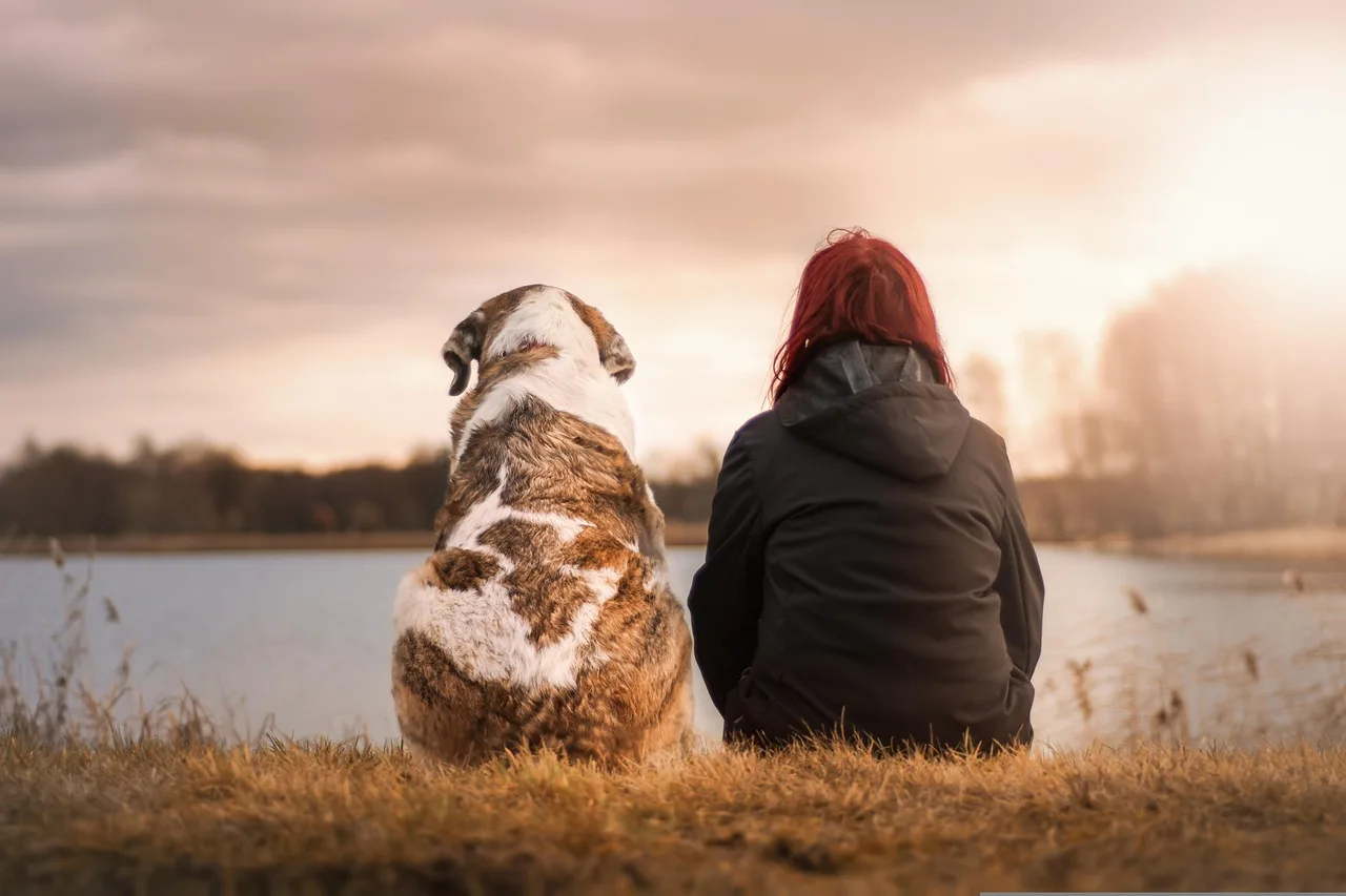 Gün batımında köpeğiyle mutlu bir kadın dostluğu