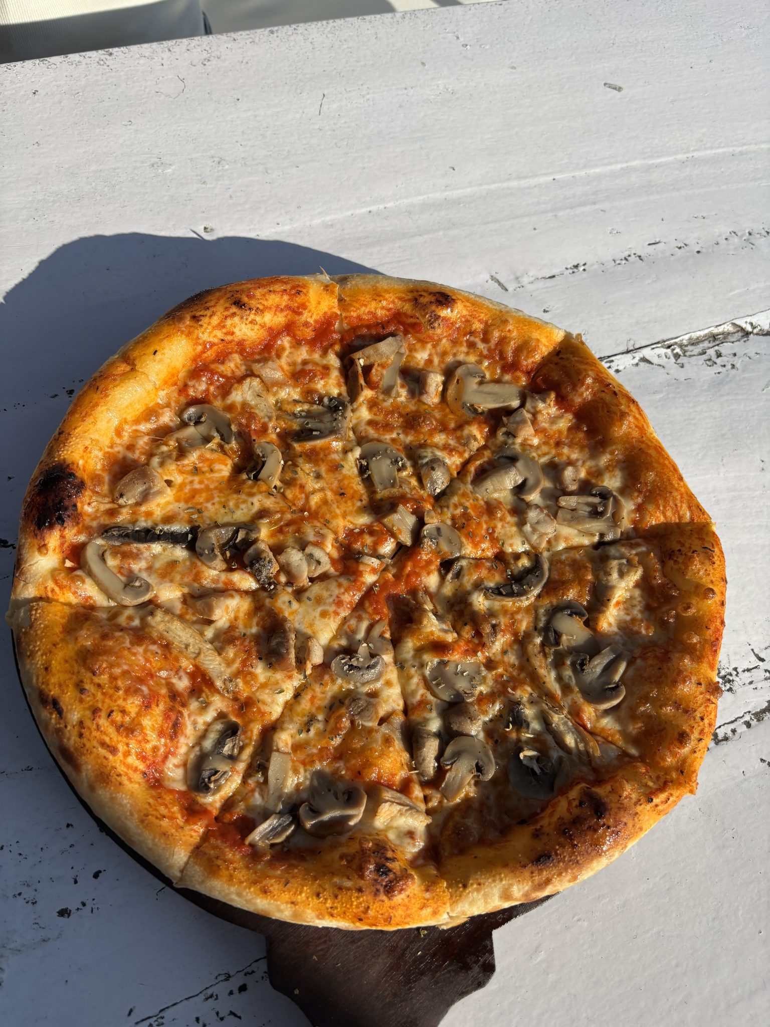 güneş ışığında ahşap stand üzerinde mantarlı peynirli pizza sunumu