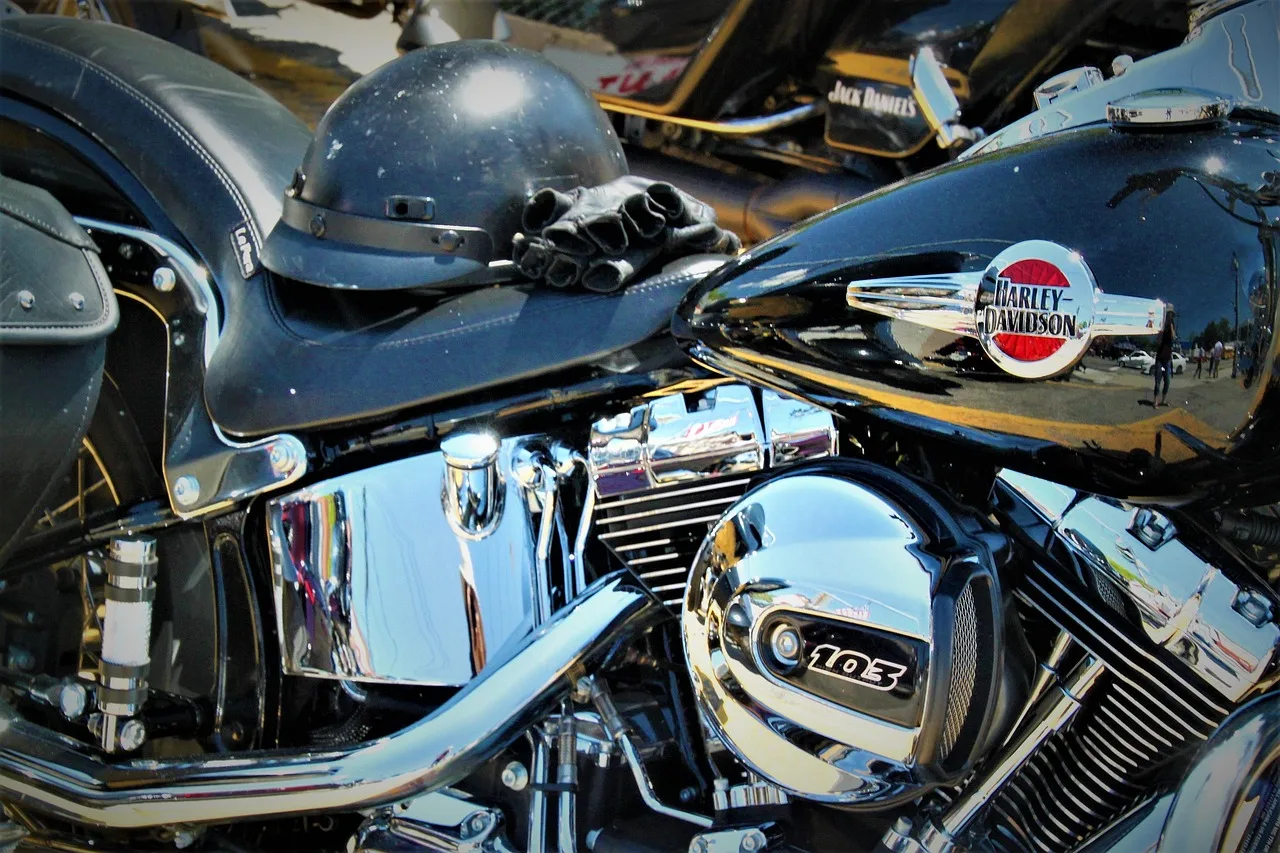 Harley Davidson motosiklet - özgür sürüş
