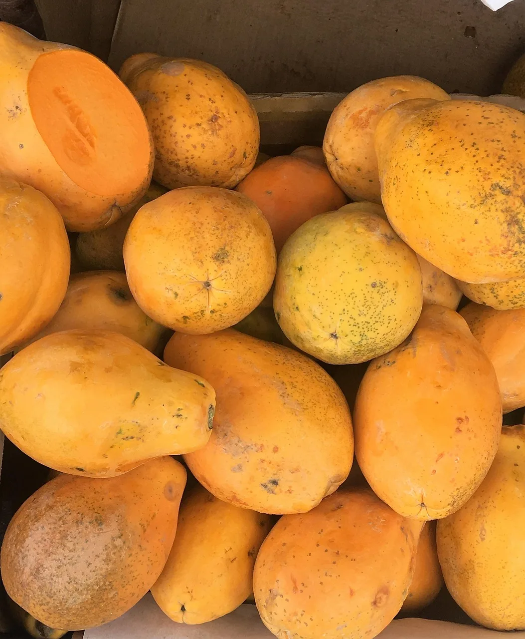 Hawaii papaya tropikal yaz fotoğrafı renkli meyve