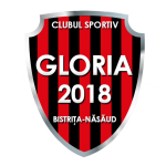 Bistrita K logosu