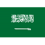 Suudi Arabistan logosu