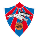 Valur K logosu