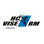 Vise logosu