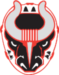 Birmingham Bulls logosu