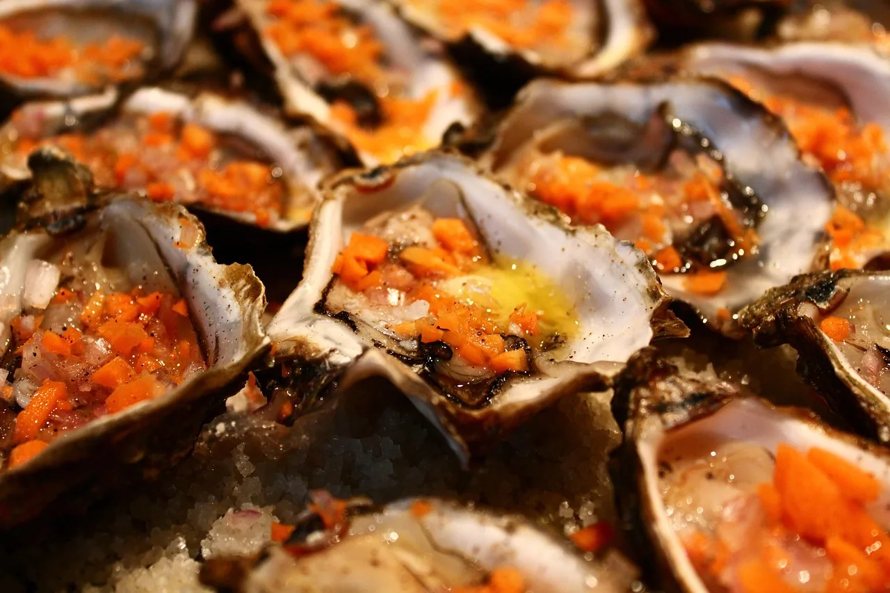 İstiridye tabağı deniz kabuklarıyla süslenmiş - gastronomi