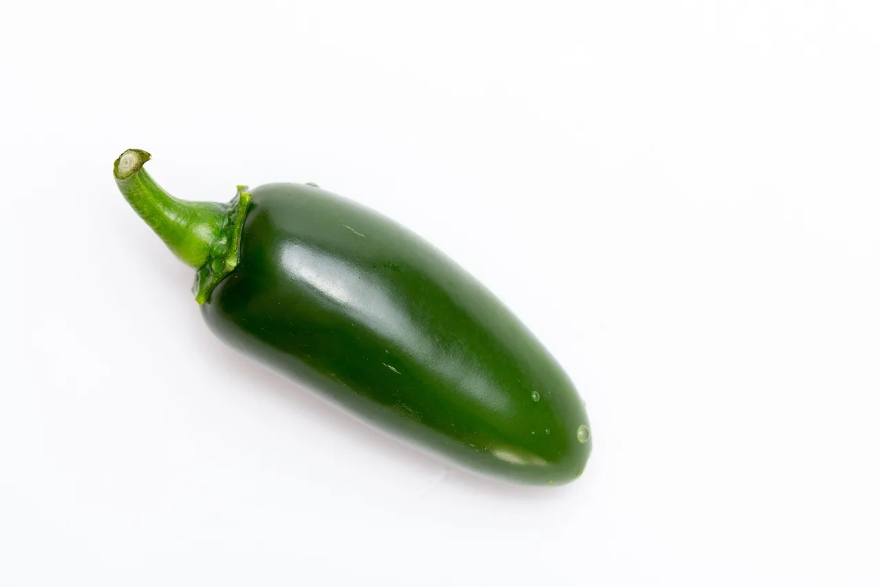 Jalapeno biberi yeşil baharatlı sebze fotoğrafı