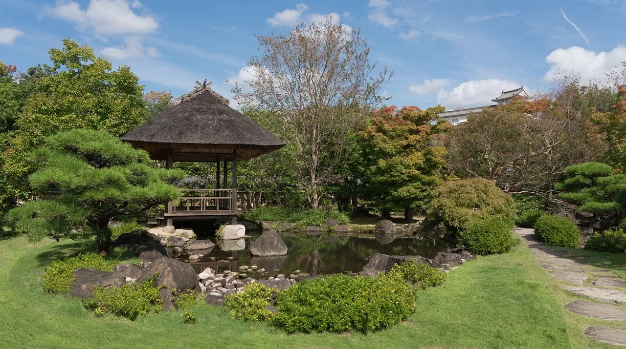 Japon bahçesi patika ve gölet - huzurlu doğa