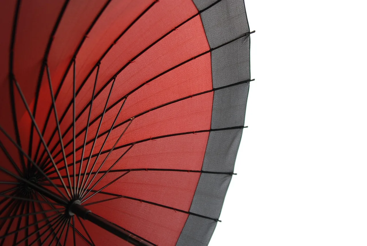 Japon geleneksel şemsiyesi - desenli parasol