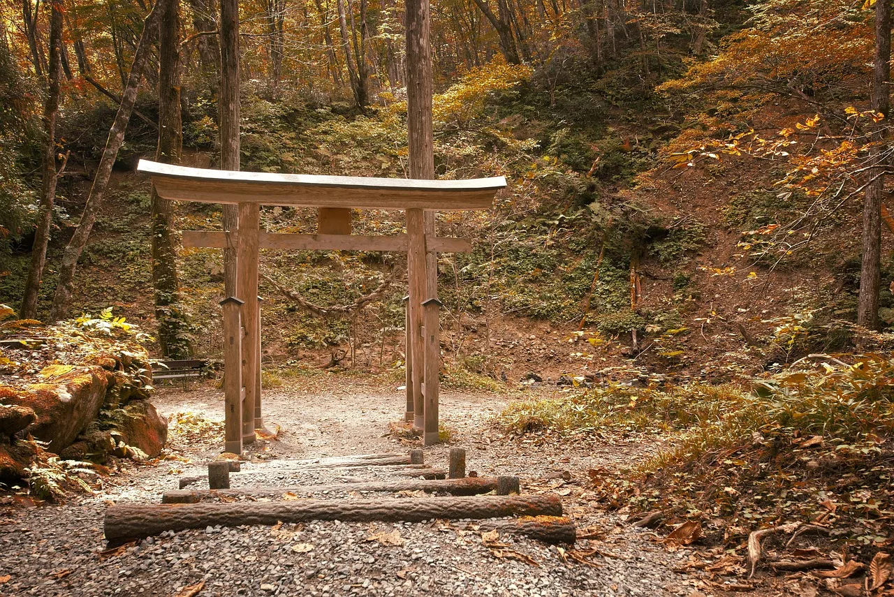 Japon torii kapısı sonbahar manzarası - kültürel doğa fotoğrafı