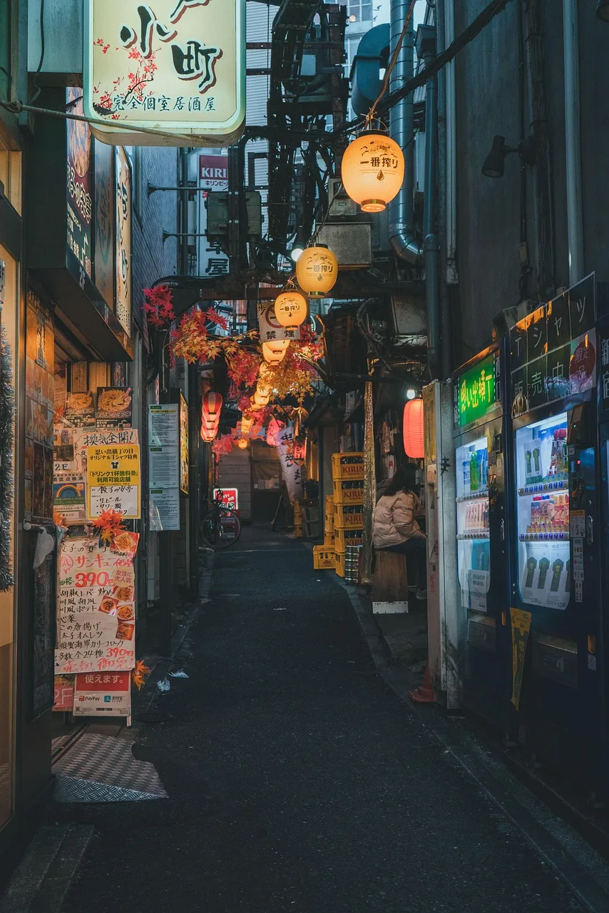 Japonya Shinjuku sonbahar sokakları - şehir fotoğrafı