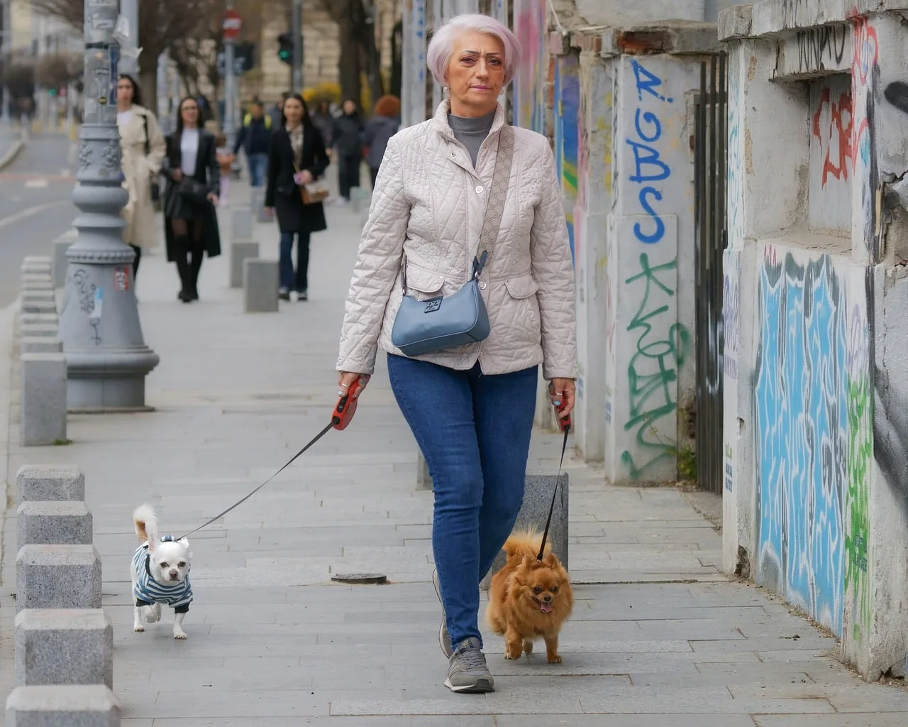 Kadın ve köpek yürüyüşü - şehir kaldırımı