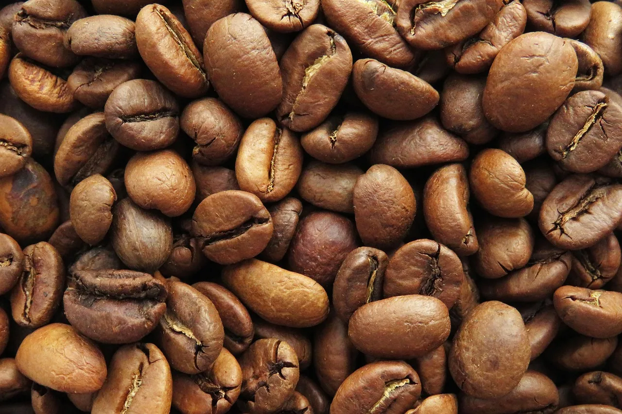 Kahve çekirdekleri ve espresso fincanı - barista stili