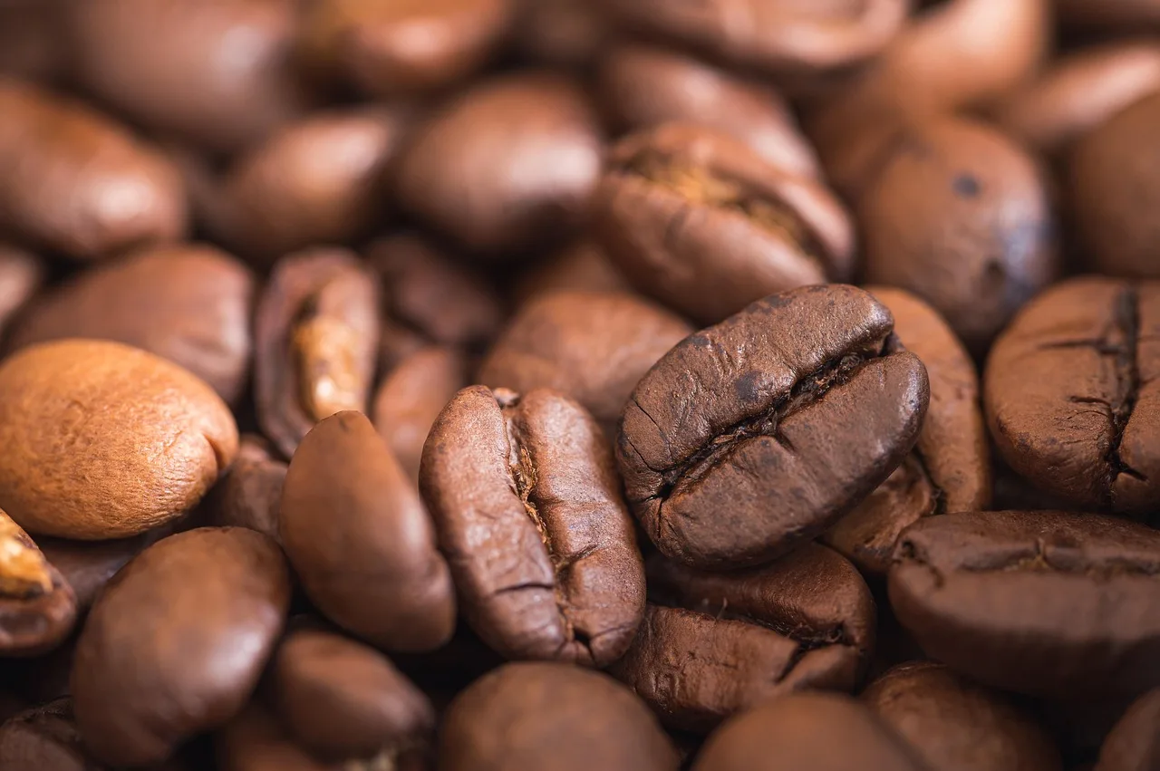 Kahve çekirdekleriyle dolu espresso fincanı - kahvaltı fotoğrafı