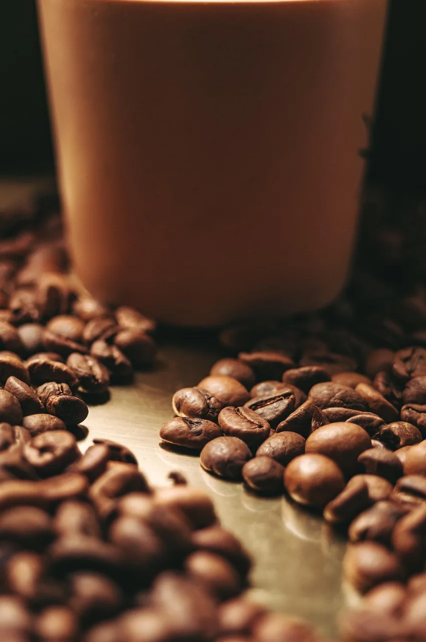Kahve fincanı aromalı sabah çekirdeği fotoğrafı