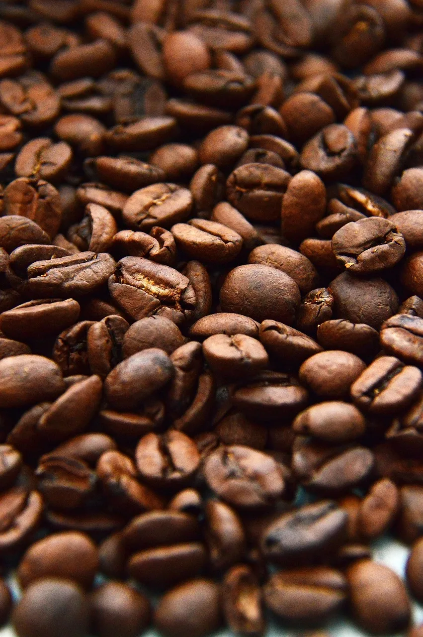 Kahve fincanı ve espresso çekirdeği - aromalı içecek