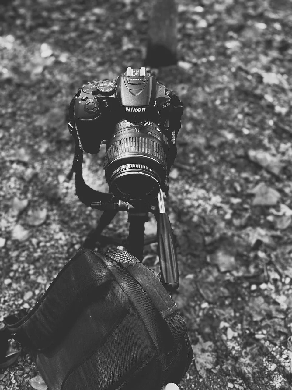 Kamera ve sırt çantasıyla doğa yürüyüşü - dış mekan fotoğrafçılığı