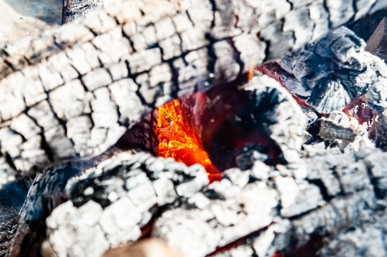 Kamp ateşi yakın çekim - yanıcı odun ve alev