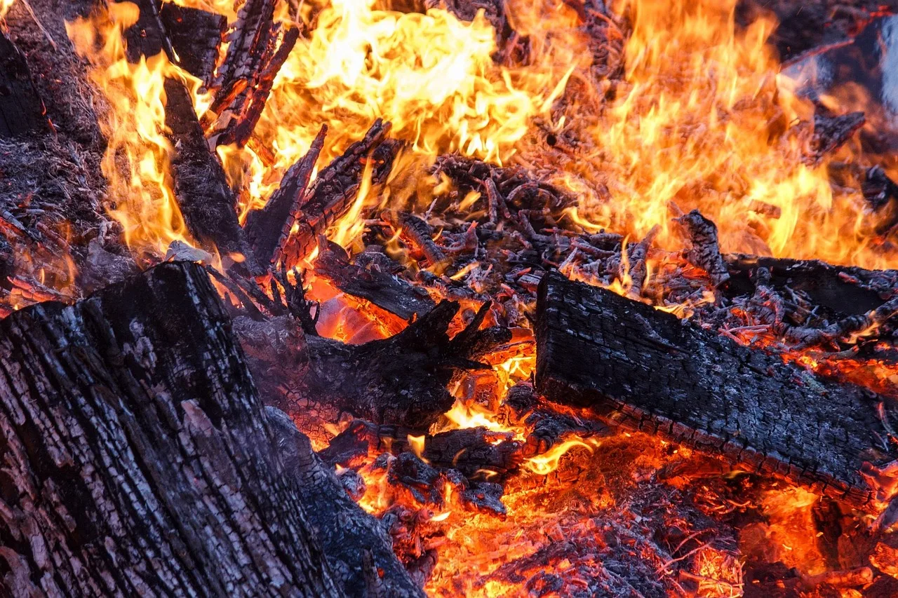 Kamp ateşi yanarken sıcak odun kıvılcımları