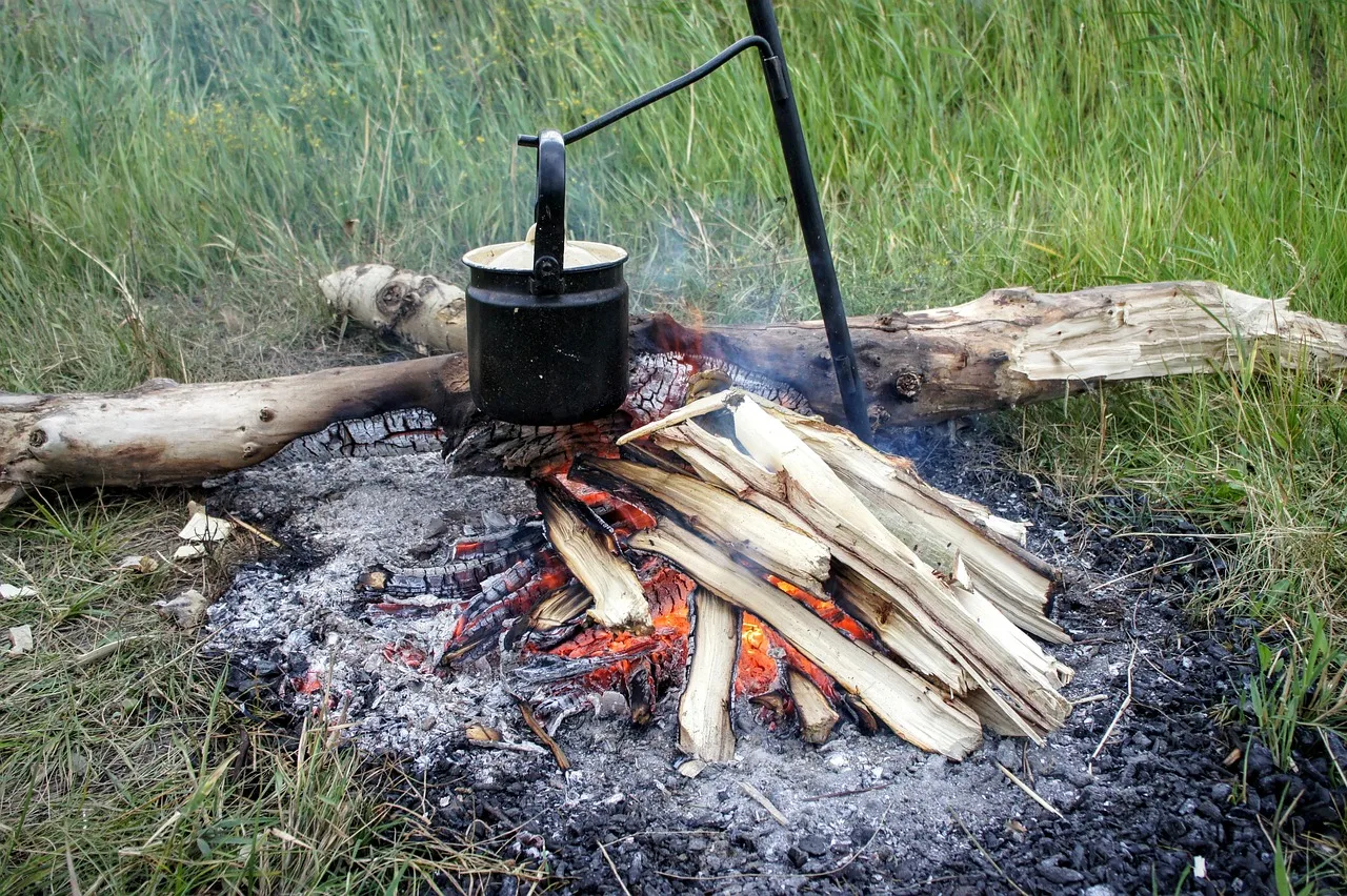 Kampta odun ateşi - sıcak kamp anı