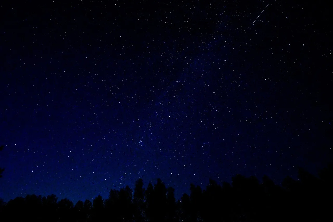 Karanlık gecede yıldız kayması silüeti - astronomi manzarası