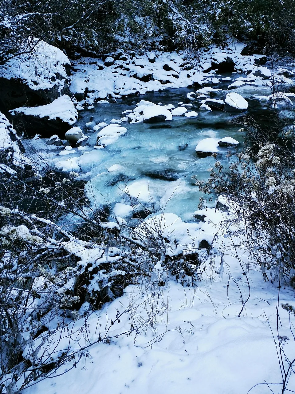 Karlı buzlu peri masalı doğa fotoğrafı