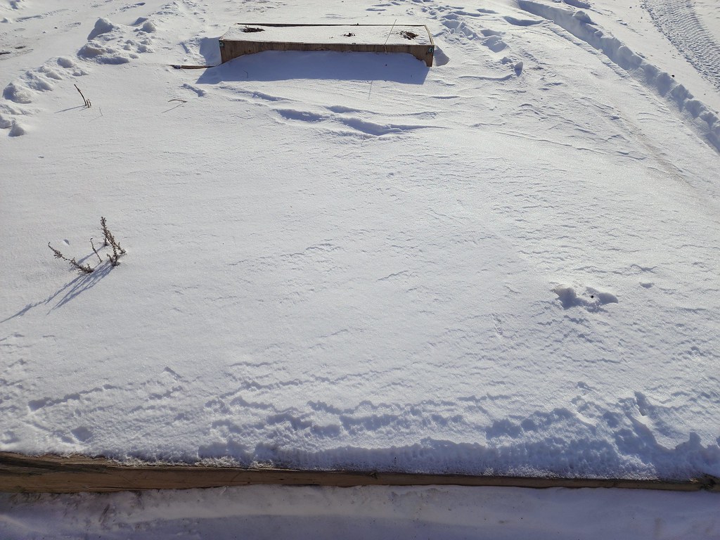 Karlı Geniş Alandaki Tahta Palet ve Ayak İzlerinin Sessiz Kış Hikayesi
