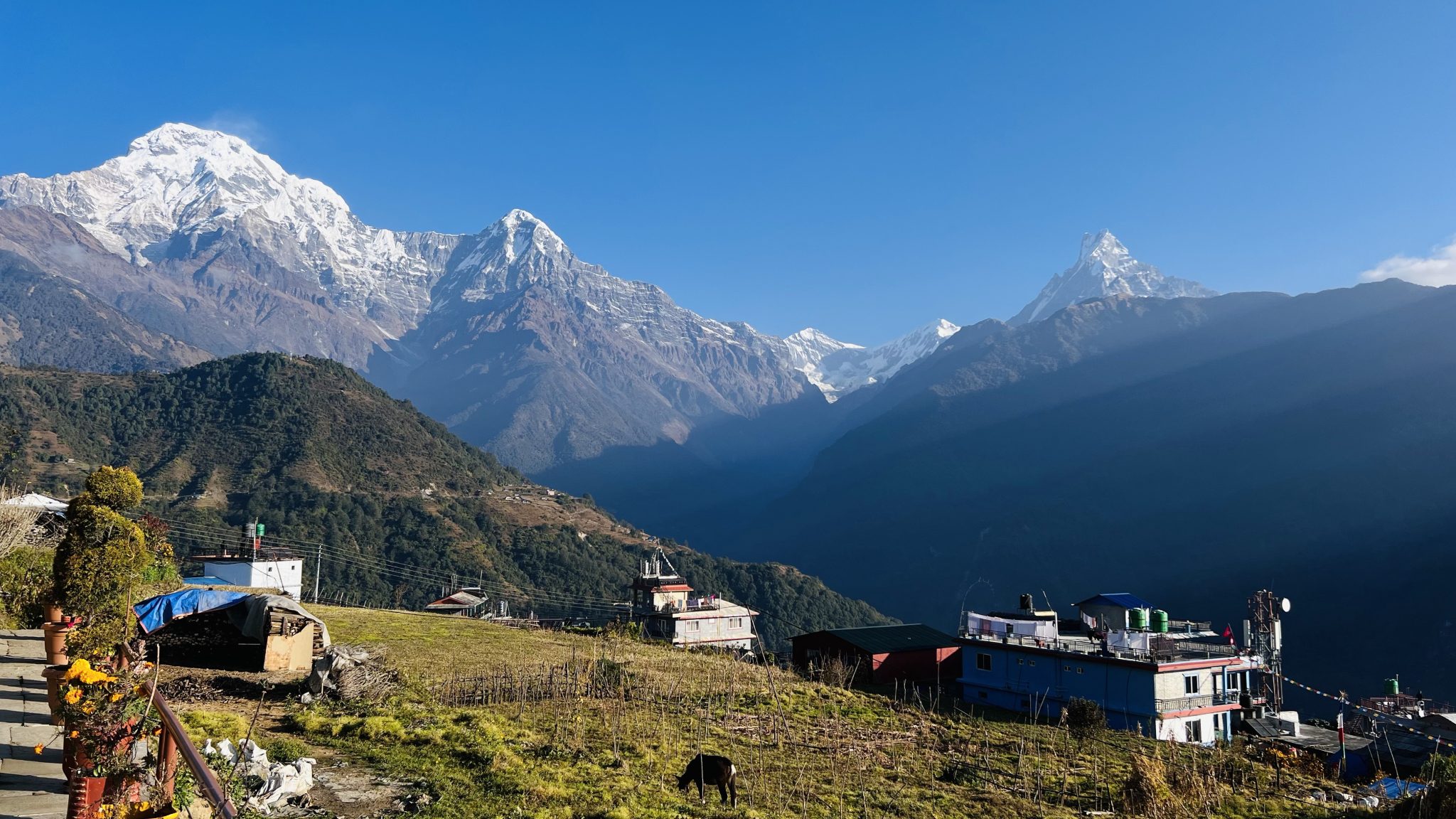 Karlı Himalaya Zirveleri ve Yüksek Rakımda Geleneksel Dağ Köyü Manzarası