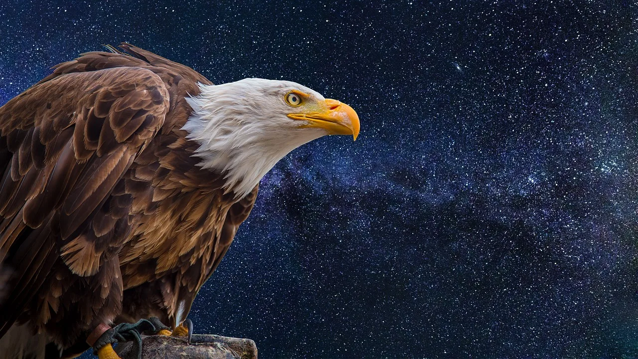 Kartal portresi ve samanyolu manzarası