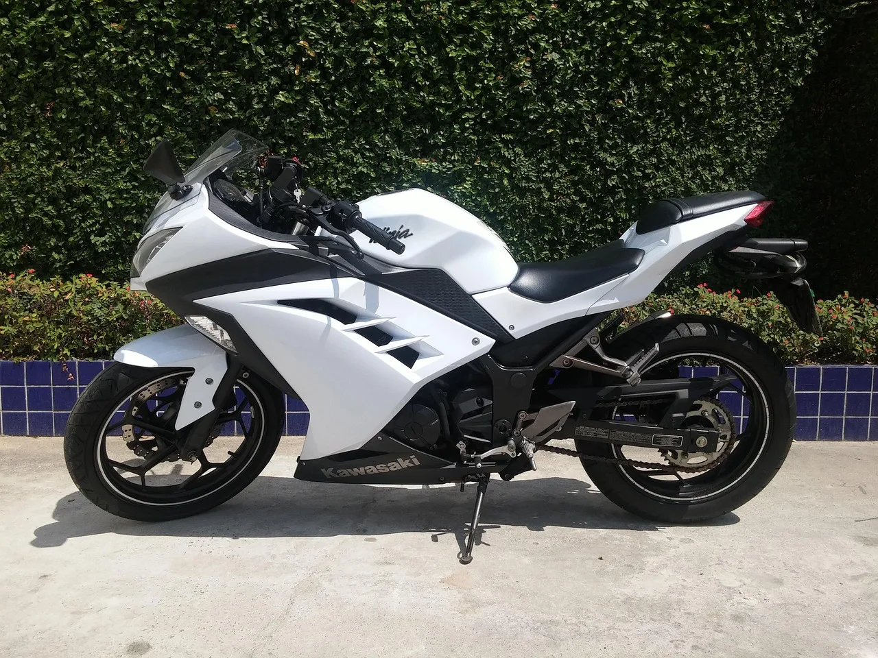 Kawasaki motosiklet fotoğrafı - dinamik sürüş