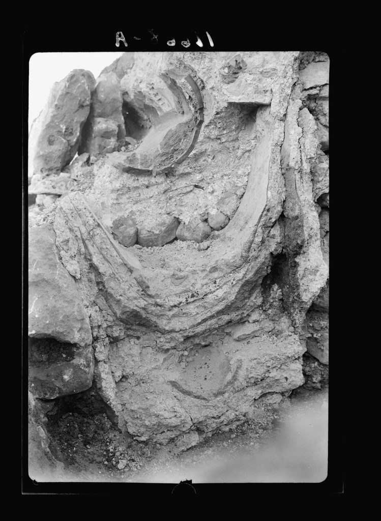 Kayalara Oyulmuş Antik Kabartma ve Tarihi Taş İşçiliği Fotoğrafı