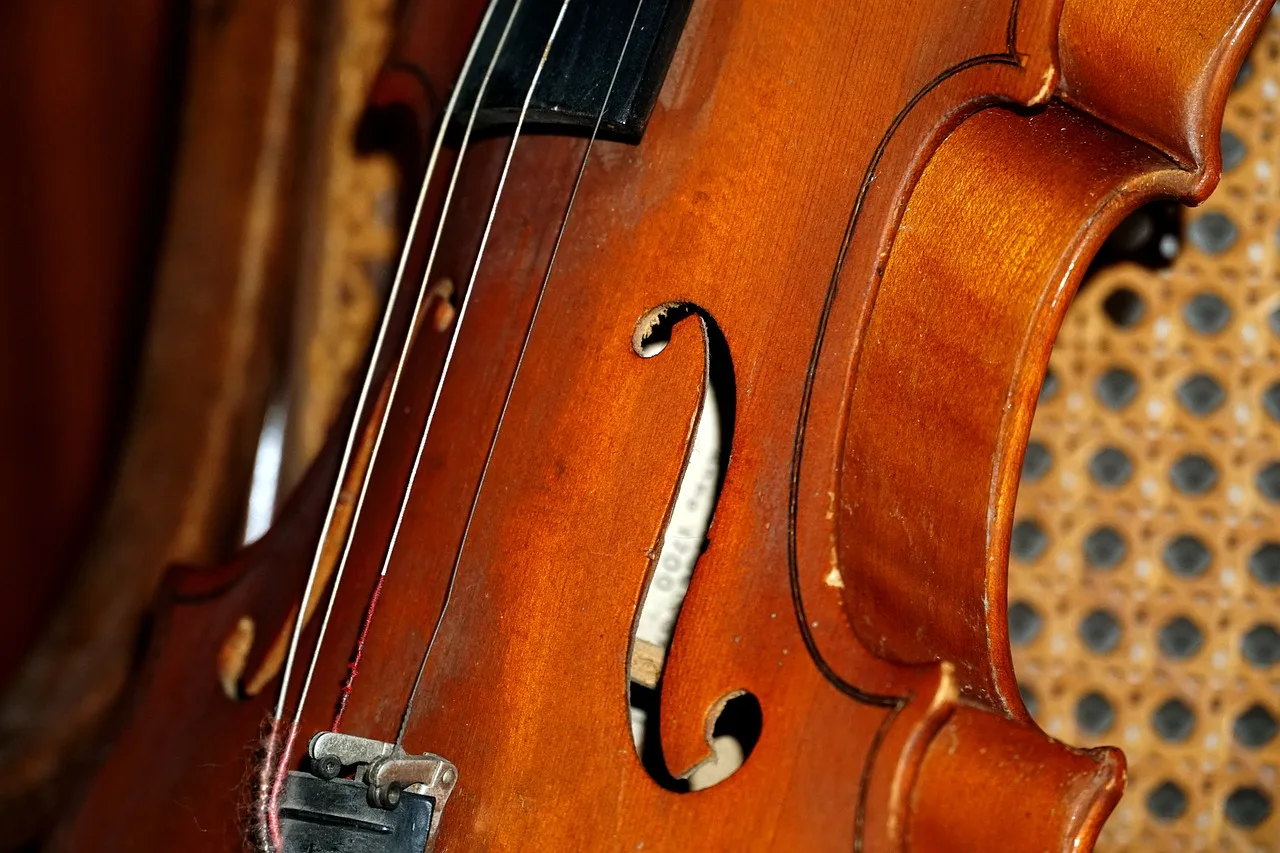 Keman detaylı yakın çekim - klasik müzik enstrümanı
