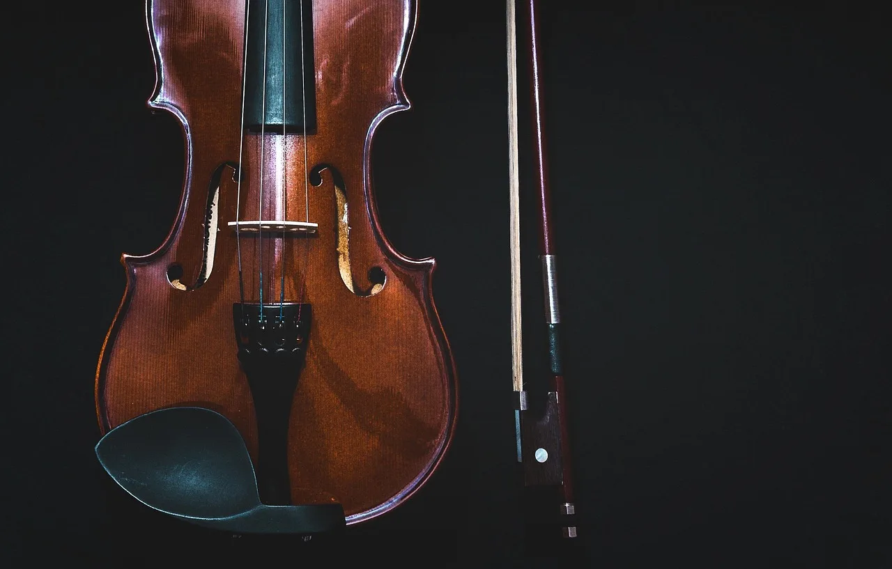 Keman enstrümanı yakın plan fotoğraf - klasik müzik