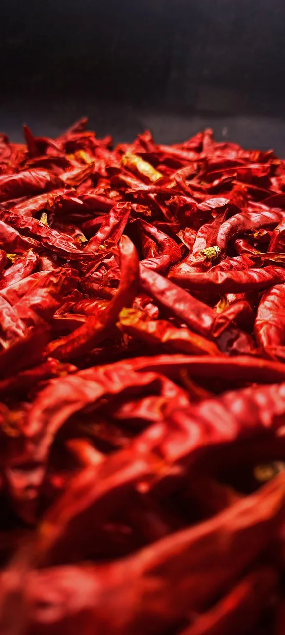 Kırmızı biberli baharat sosu - sıcak yemek fotoğrafı