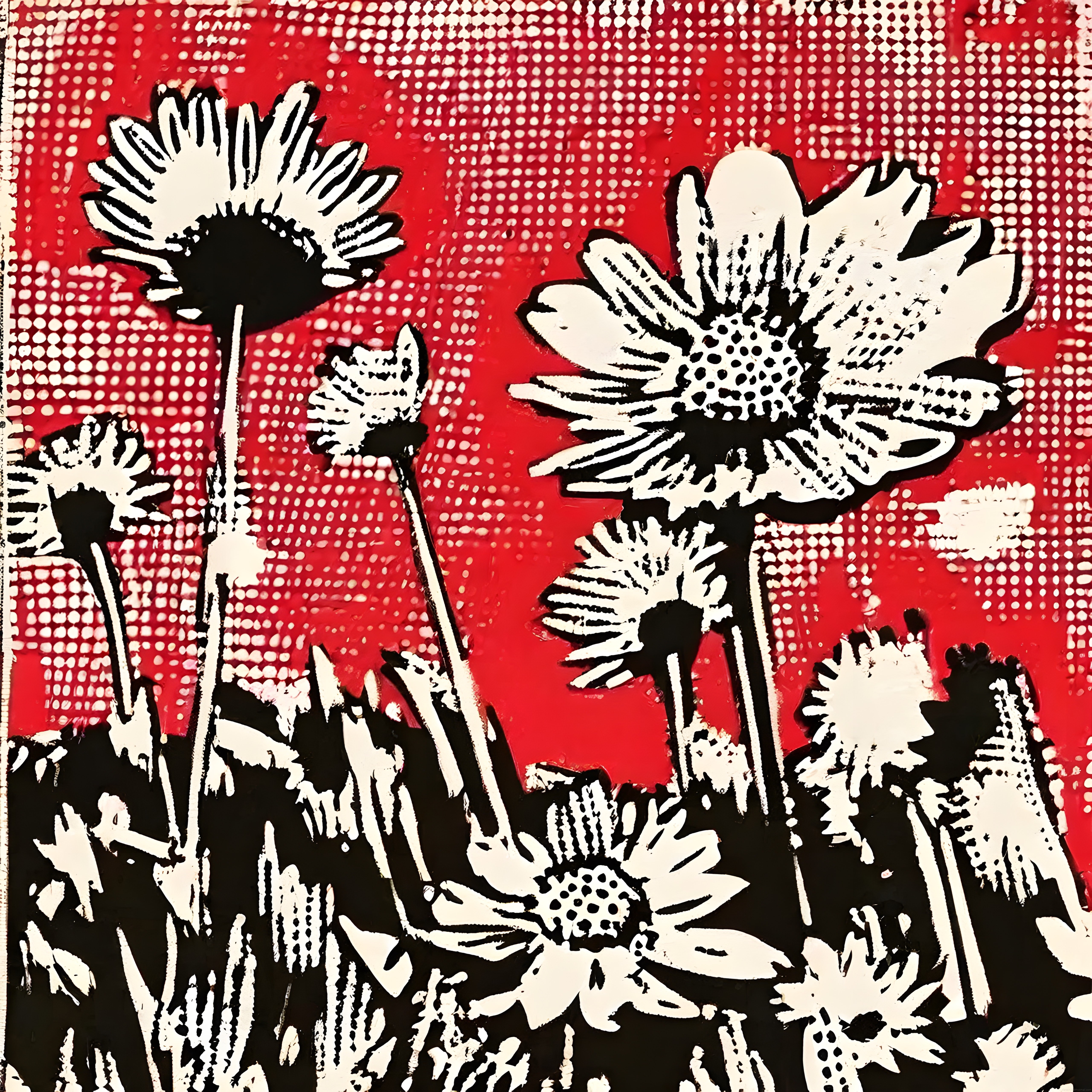 Kırmızı Zeminde Siyah Beyaz Papatyalar: Pop Art Halftone Çiçek Deseni