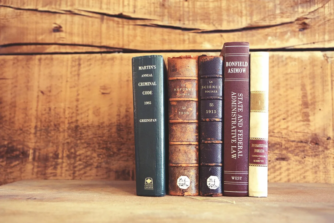 Kitap dolu raf fotoğrafı - ev içi okuma köşesi