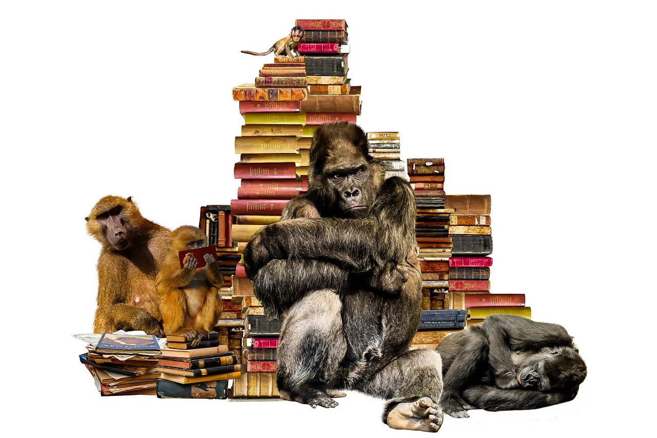 Kitap okuyan babun - eğitim ve merak kavramı